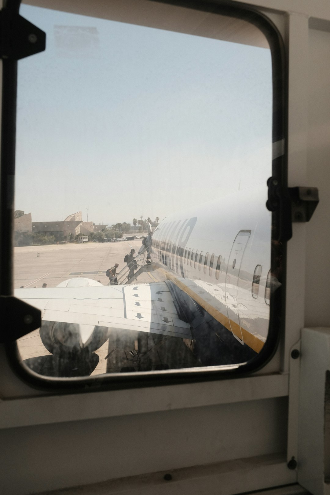 מחלקות השירות באל על: אקונומי, פרימיום וביזנס